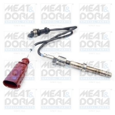 Sensor, exhaust gas temperature